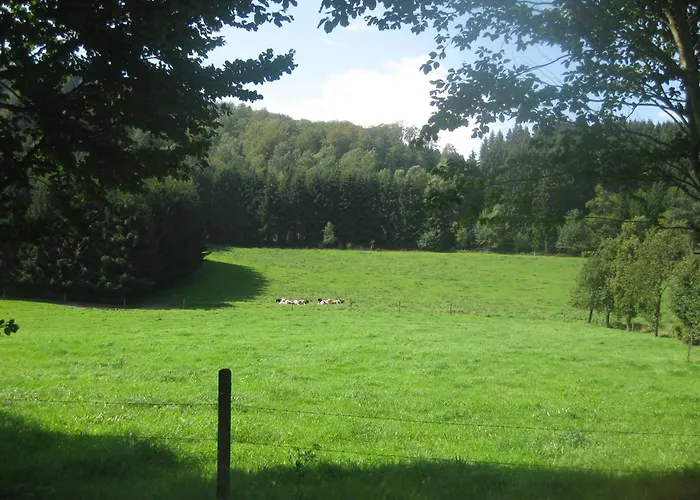 ゲストハウス Pension-gaestehaus Waldhof ヴィンターベルク